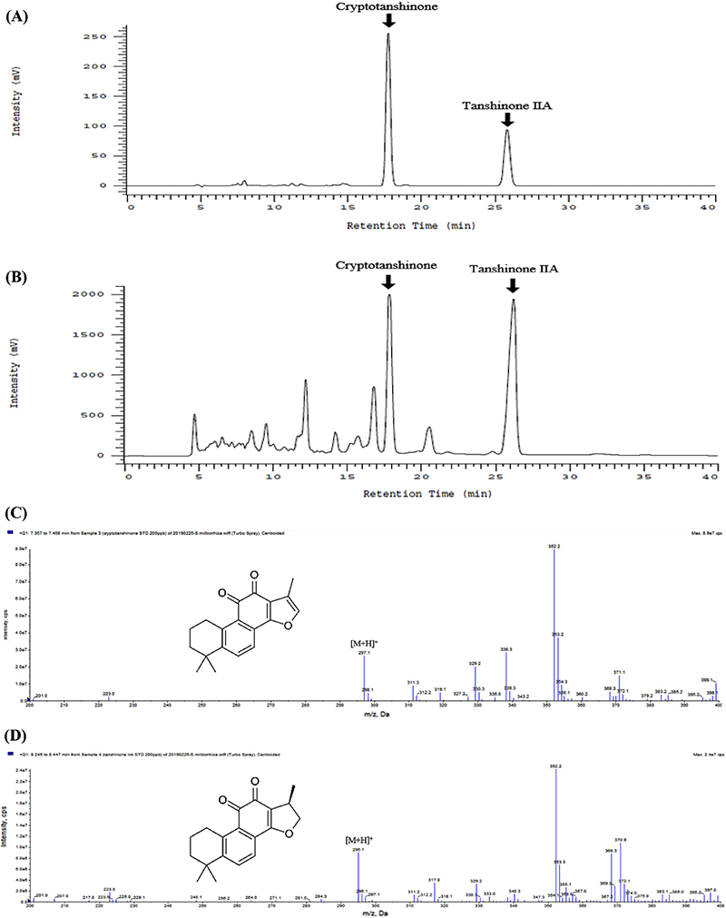 Fig. 1. Fig. 1.