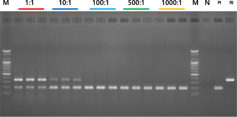 Fig. 5.