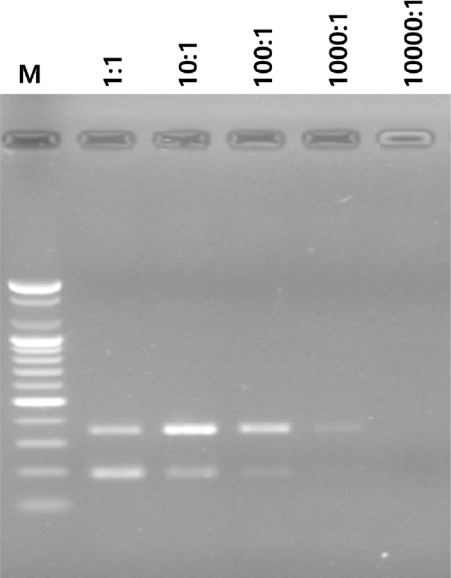Fig. 6.