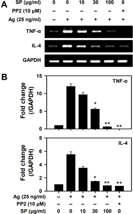 Fig. 2. Fig. 2.