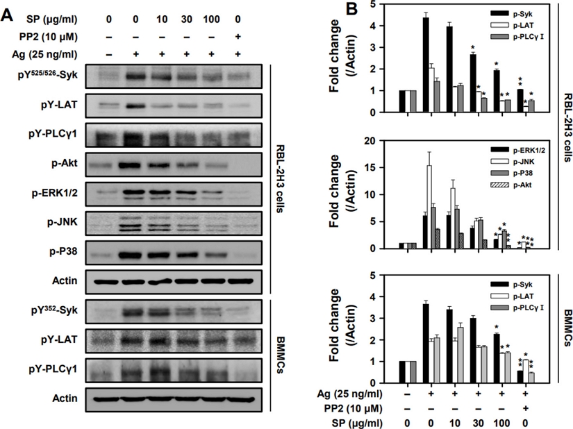 Fig. 3. Fig. 3.
