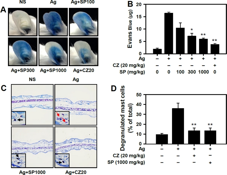 Fig. 4. Fig. 4.