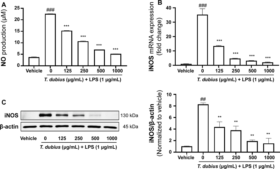 Fig. 2. Fig. 2.