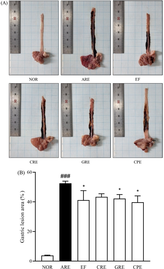 Fig. 1. Fig. 1.