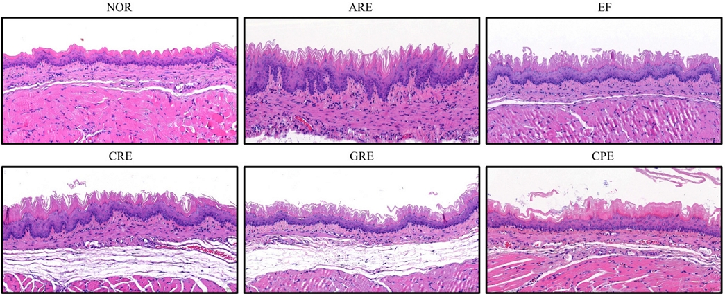 Fig. 2. Fig. 2.