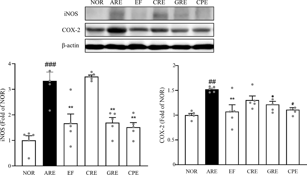 Fig. 7. Fig. 7.