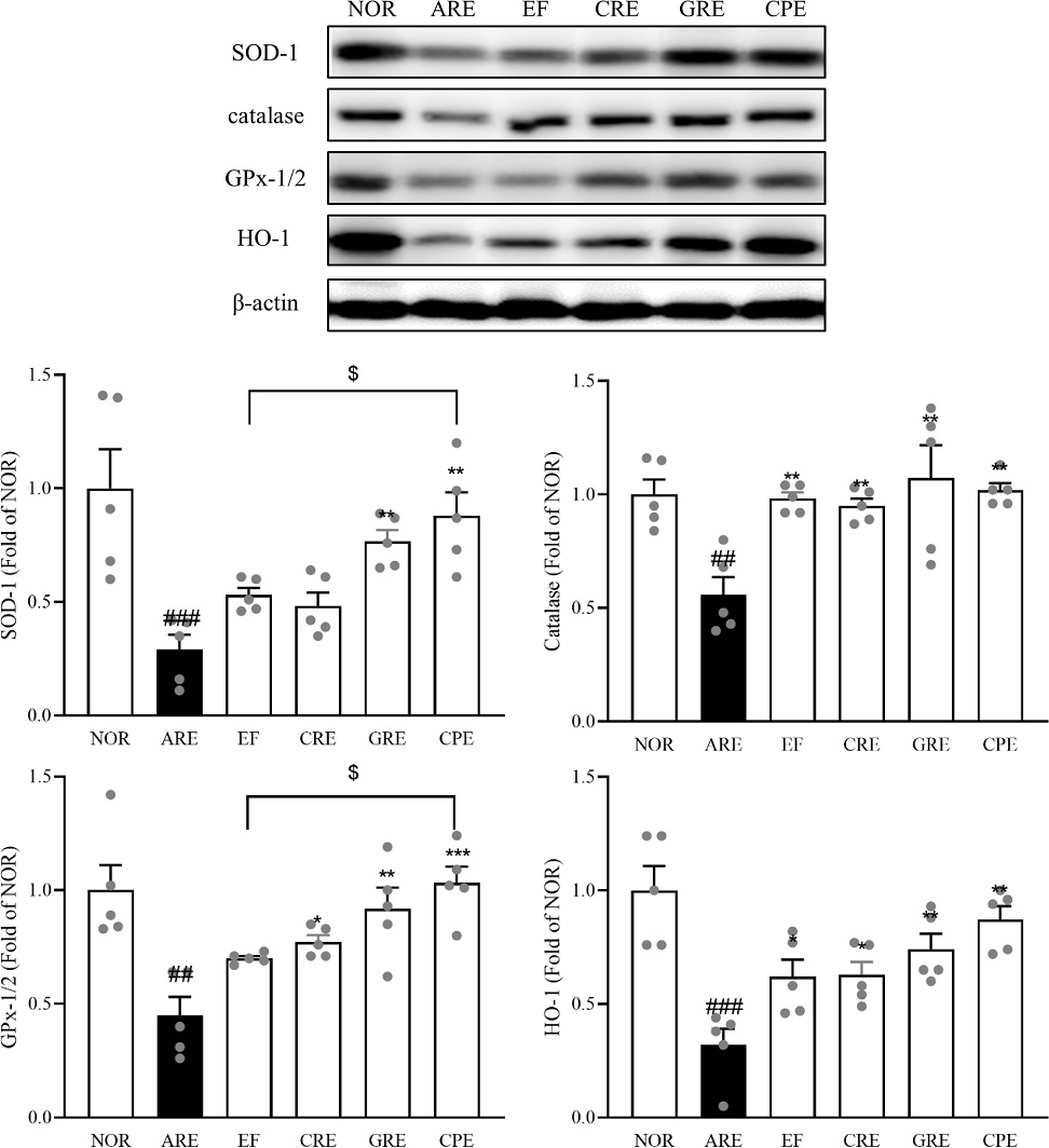 Fig. 8. Fig. 8.