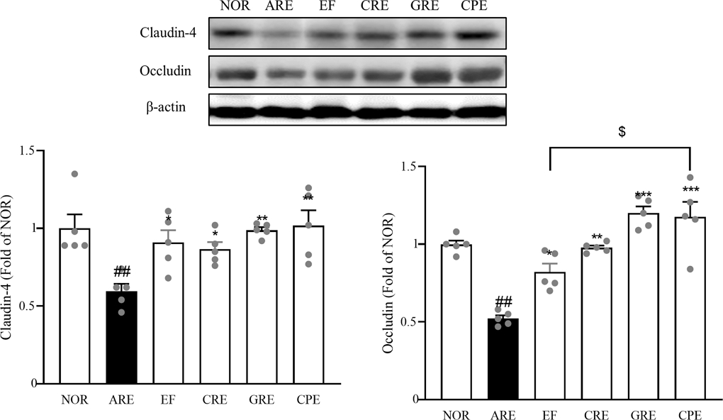 Fig. 9.