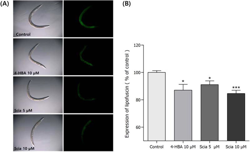 Fig. 10.