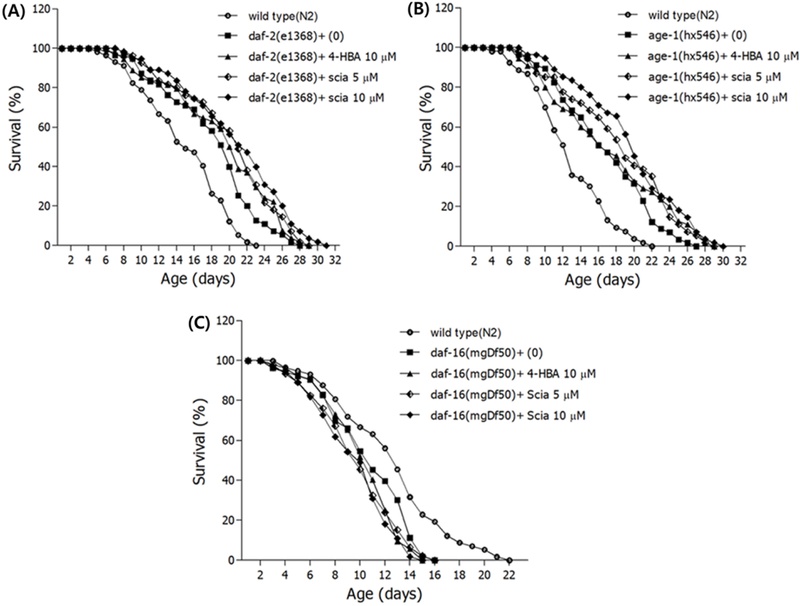Fig. 12.