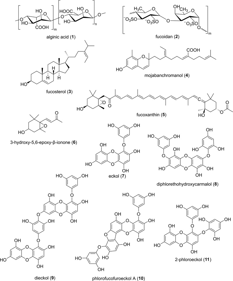 Fig. 1. 